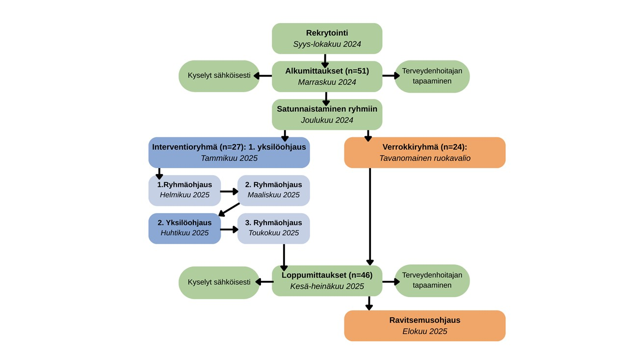 Tutkimuksen kulkukaavio: rekrytointi syys–lokakuussa 2024, alkumittaukset marraskuussa 2024, satunnaistaminen interventio- ja verrokkiryhmään joulukuussa 2024, mittaukset ja ohjaus tammikuusta toukokuuhun 2025 sekä lopulliset loppumittaukset kesä–heinäkuussa 2025.