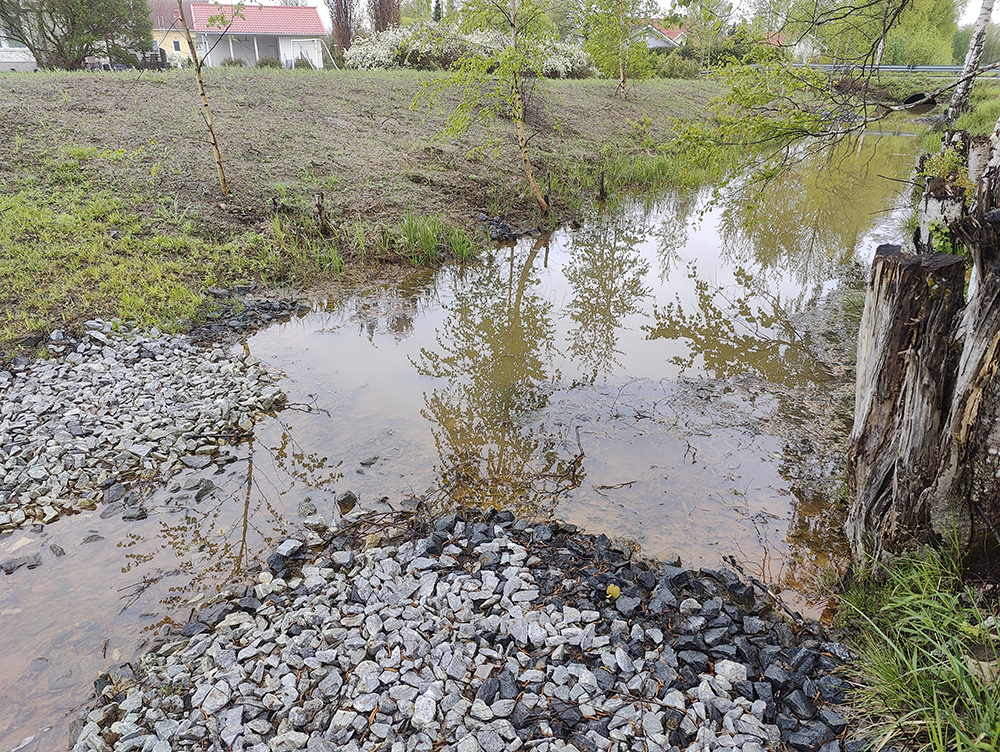 Stormwater culvert discharging into a small stream, with a gravel-lined bank and trees along a roadside embankment.