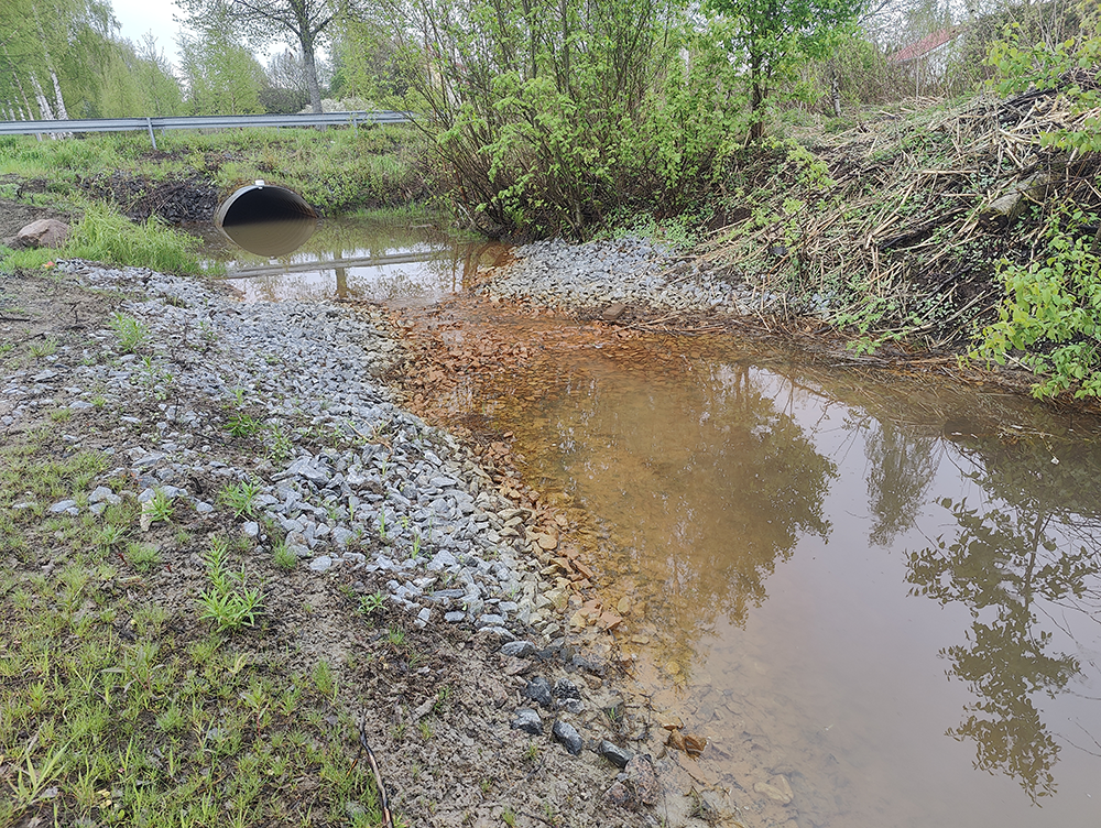 Shallow ponded water beside a residential area, bordered by gravel and grass, with small trees and houses in the background.