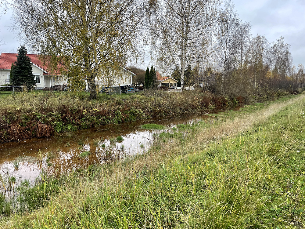 Narrow stream flowing through a grassy area beside residential houses, with sparse vegetation and autumn-colored trees along the banks.