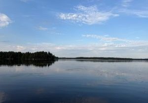 Maisemakuvana nuormijärvi. Kuvassa tyyni järven pinta. taustalla näkyy puustoa.