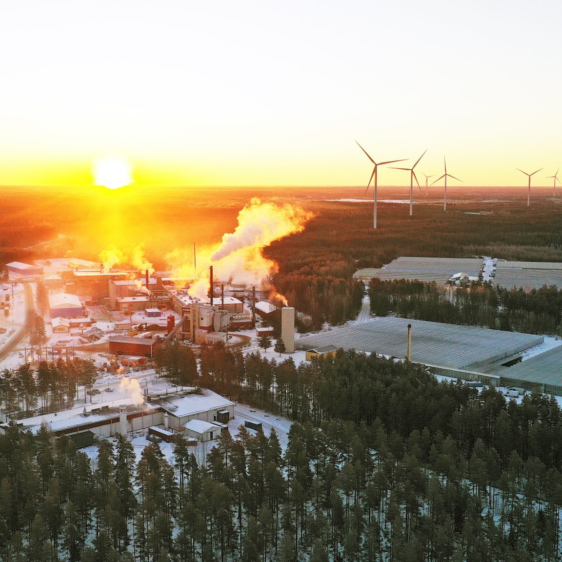 Maisemakuva, jossa taivaanrannassa paistaa aurinko ja tuulivoimalat pyörivät.